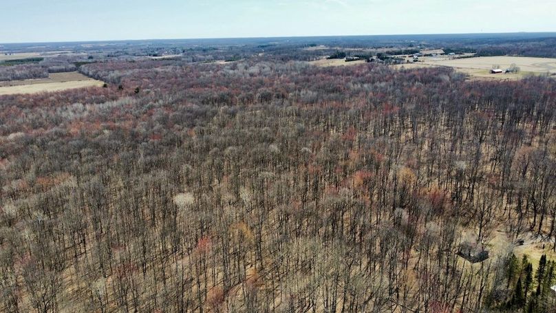 dji_fly_20250416_120946_846_1744914756390_photo_optimized