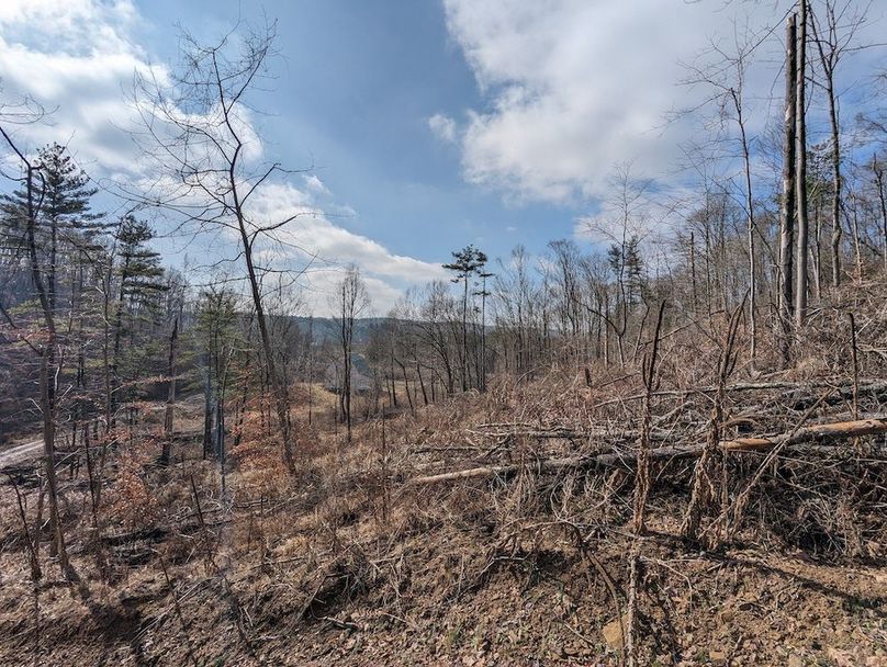 PXL_20240223_155619862