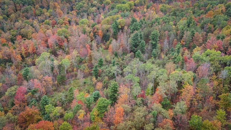 DJI_20251007162101_0652_D