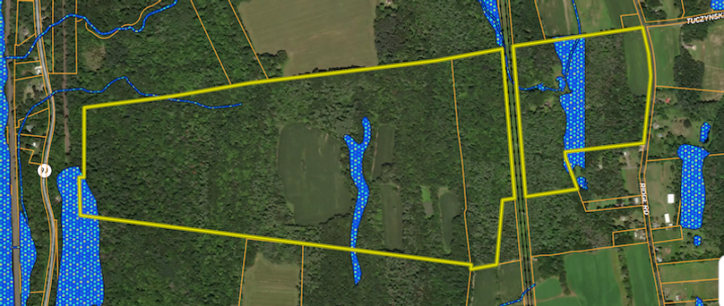 Columbia Co 213.53 Woodbury Farms LLC Wetlands map