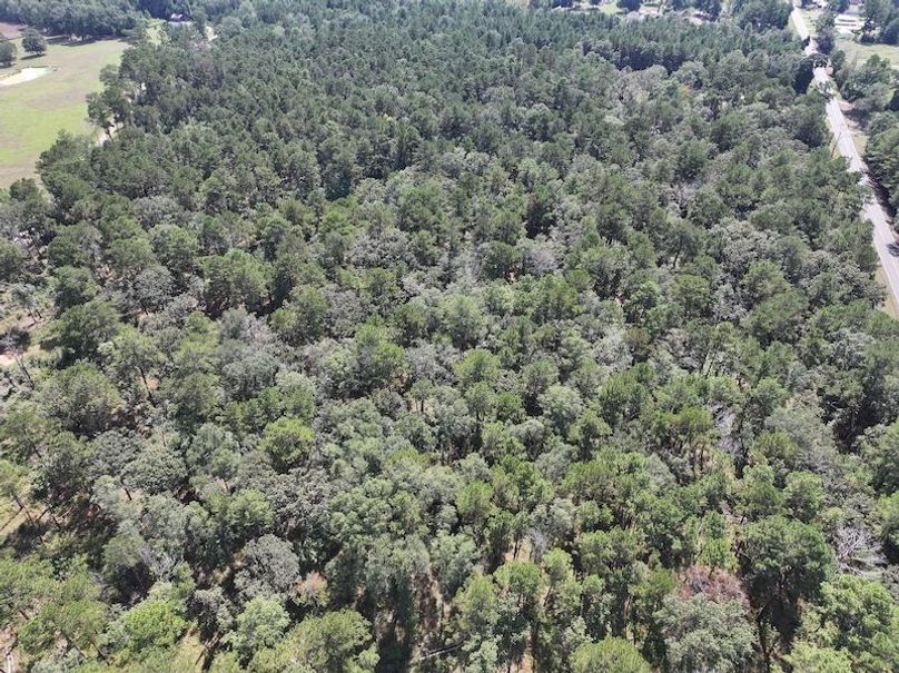 dji_fly_20250929_130400_0563_1759177336740_photo