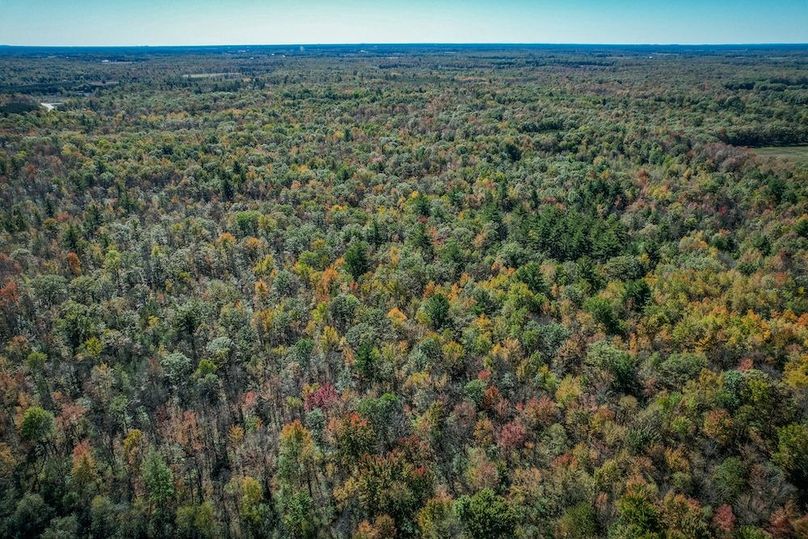 Wood 41.451, Collins -37