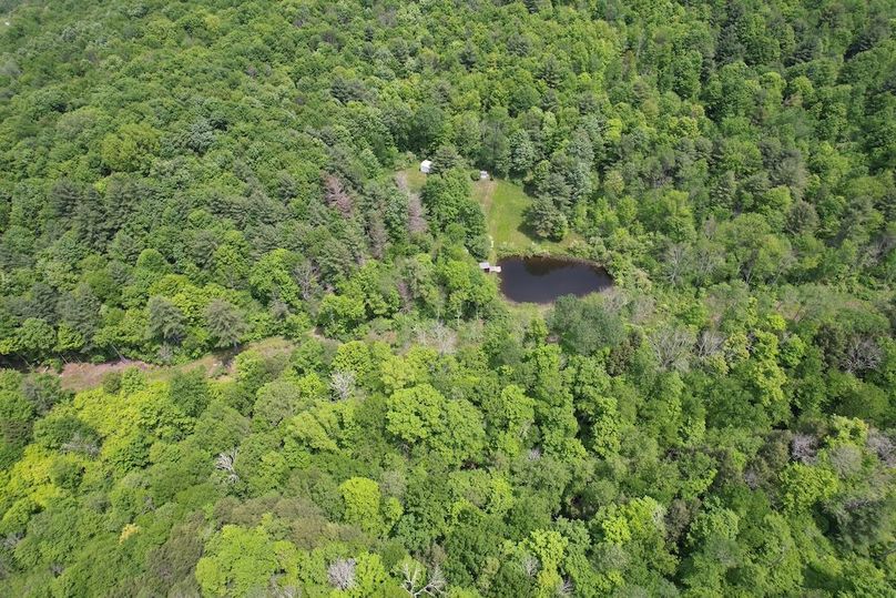 Tioga_78_Biada_Photos_62