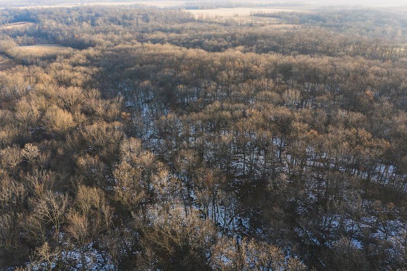DJI_20251223081839_0197_D