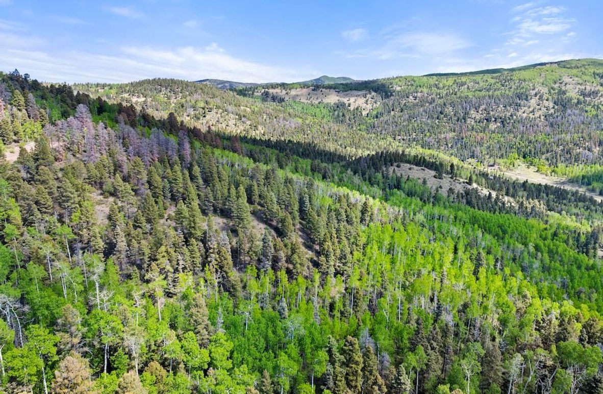 DJI_20250606102327_0094_D