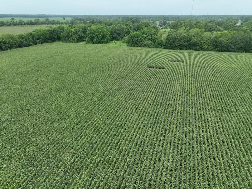 dji_fly_20240620_102438_552_1718899027536_photo