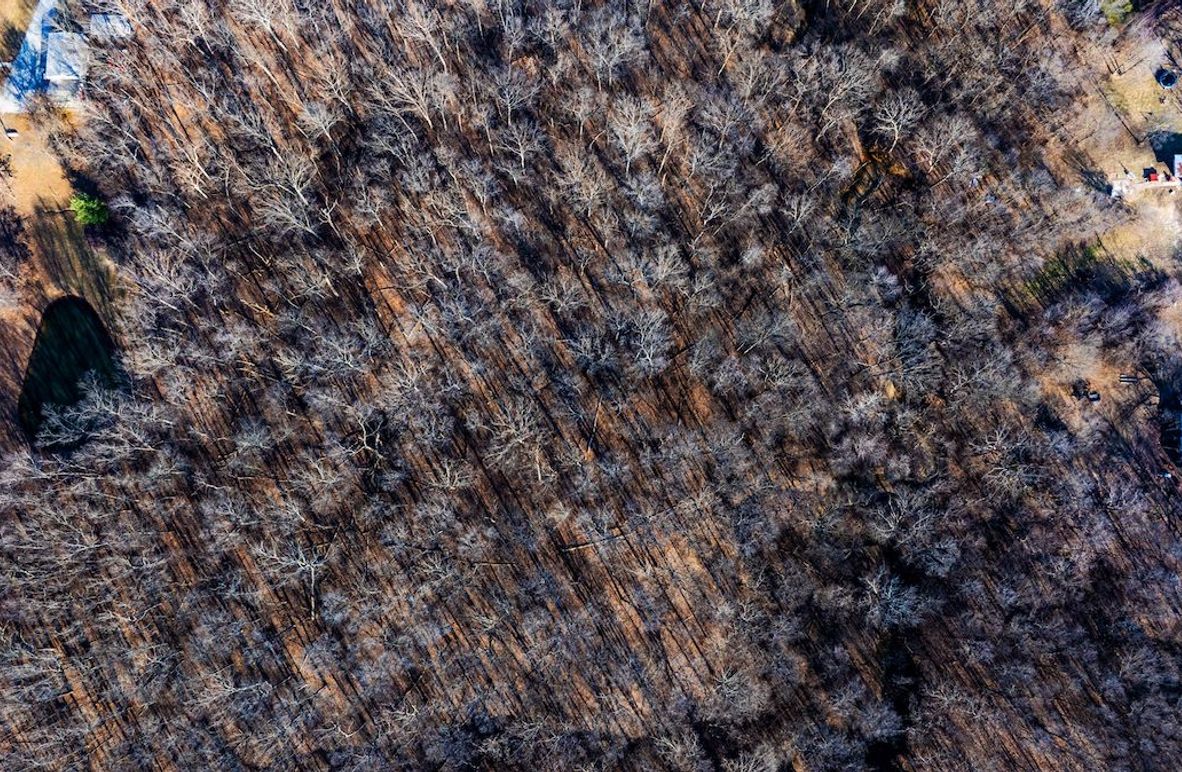 DJI_20250303155010_0005_D retouched