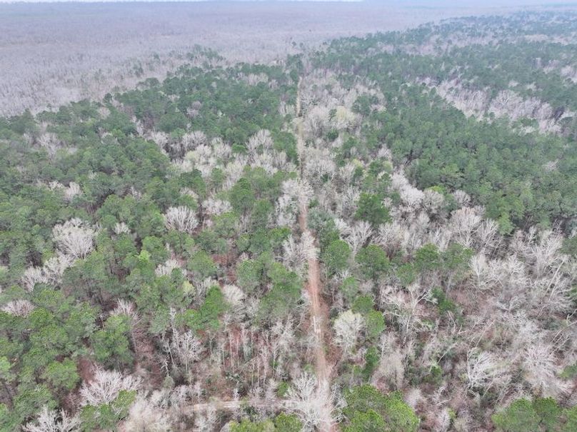 dji_fly_20260123_131716_0941_1769444773651_photo