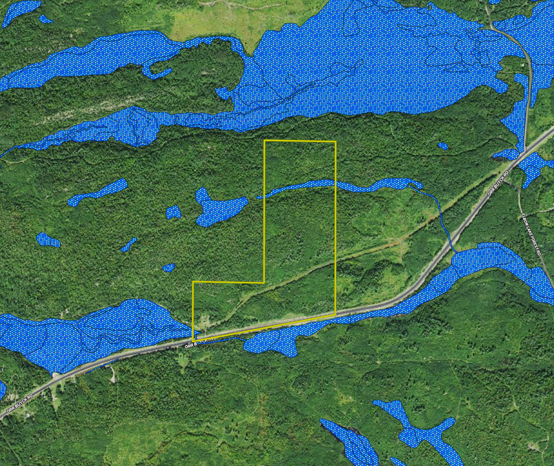 8852 Orr_Buyck Rd. hybrid wetland map