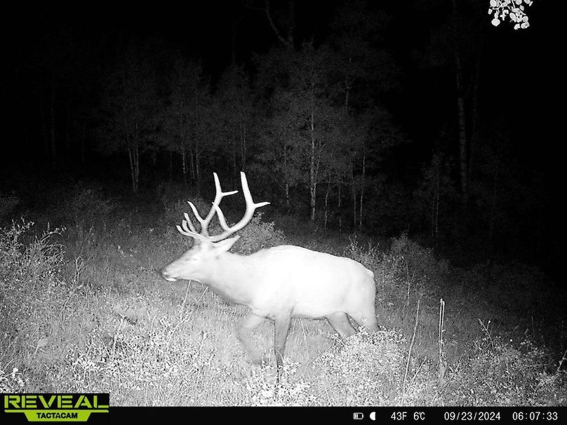 Copy of 864049052055672-20-4-09232024060732-HD-W1001197 (1)