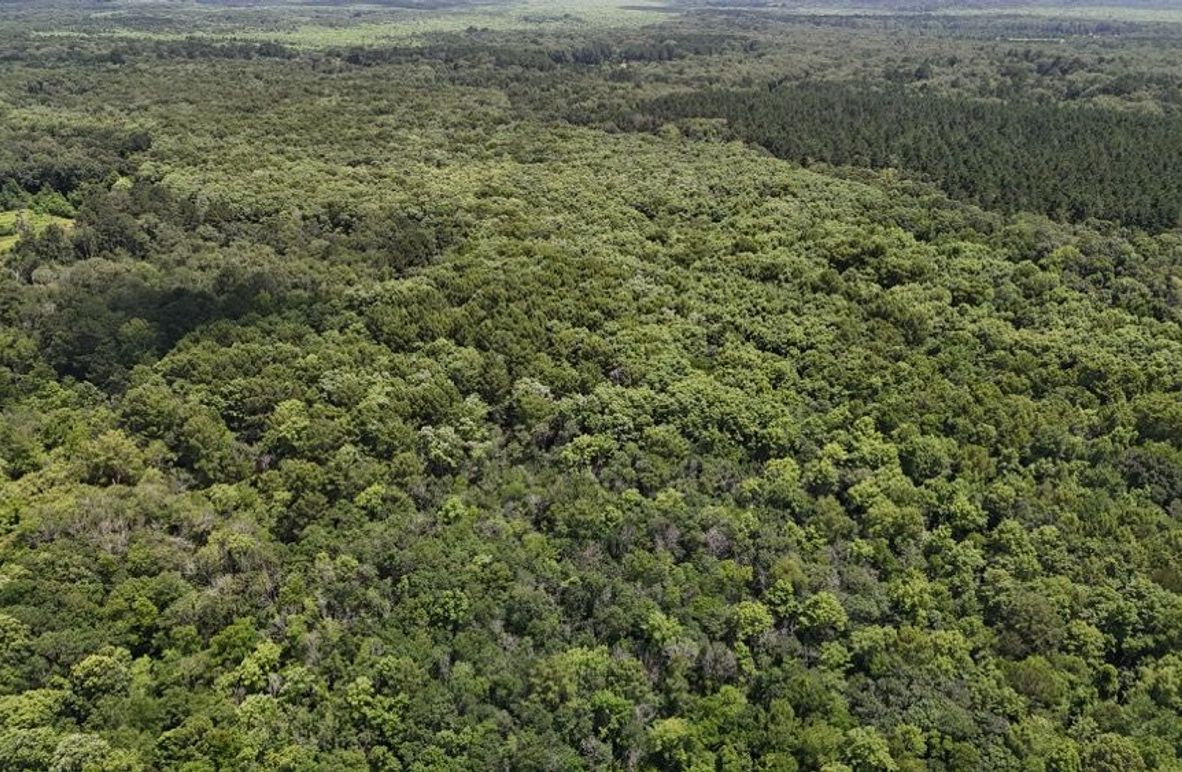 DJI_20250620032136_0641_D