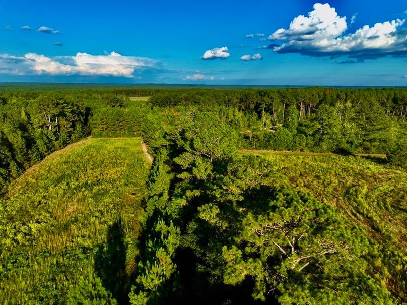 4307559E-121E-4661-B92A-5B74C4E6C78C_1_105_c-2