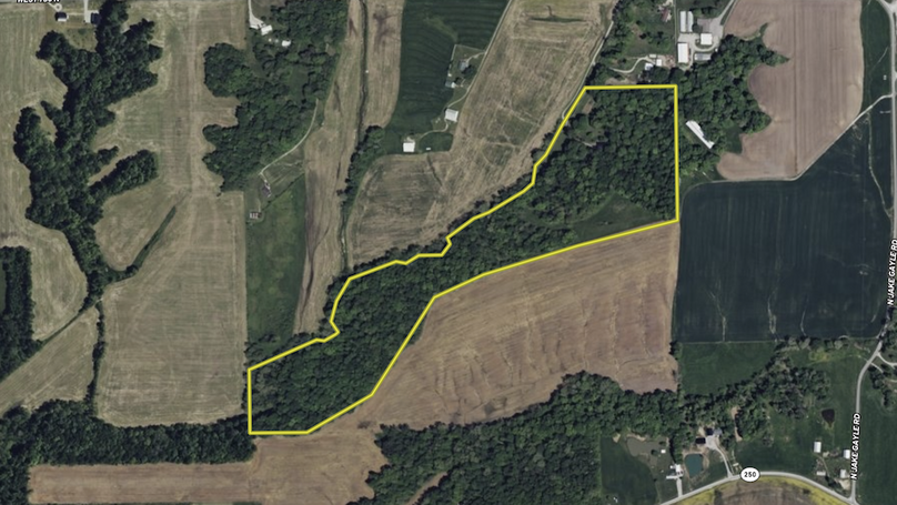 Screenshot 2026-02-09 215635