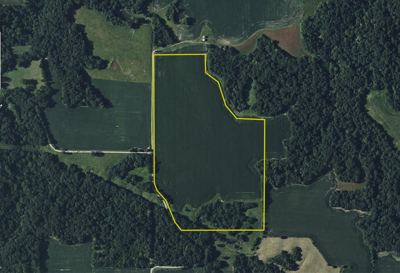 Pike IL 568.AERIAL.TRACT 2