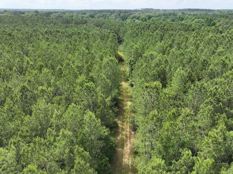 dji_fly_20260519_134748_0015_1779286790453_photo