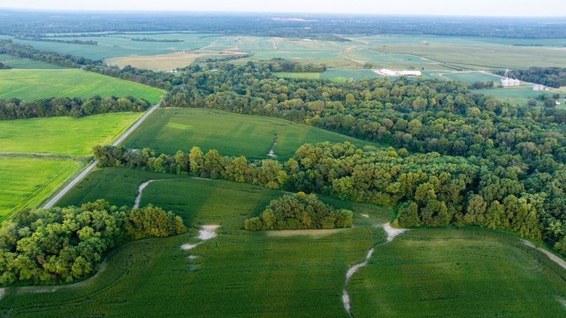 Copy of DJI_20250806062938_0068_D Large