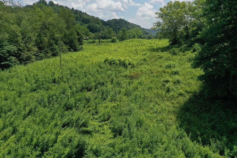 011 low elevation drone view from the north boundary looking south across the fields