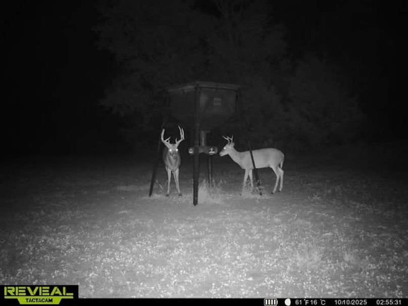 865509050100068-100-3-10102025025549-w1007461