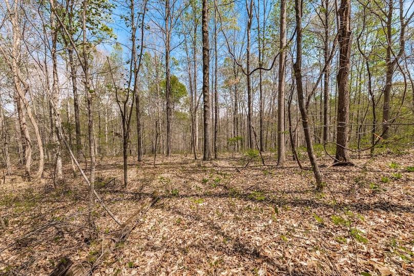 72-web-or-mls-0 Mound Creek Rd-42