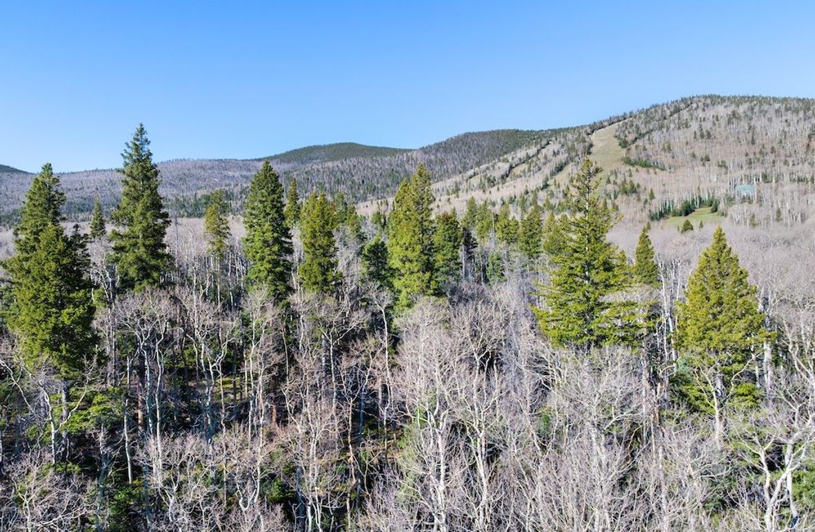 DJI_20250516081156_0024_D