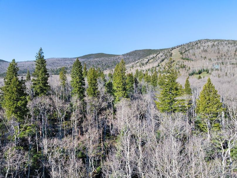 DJI_20250516081156_0024_D