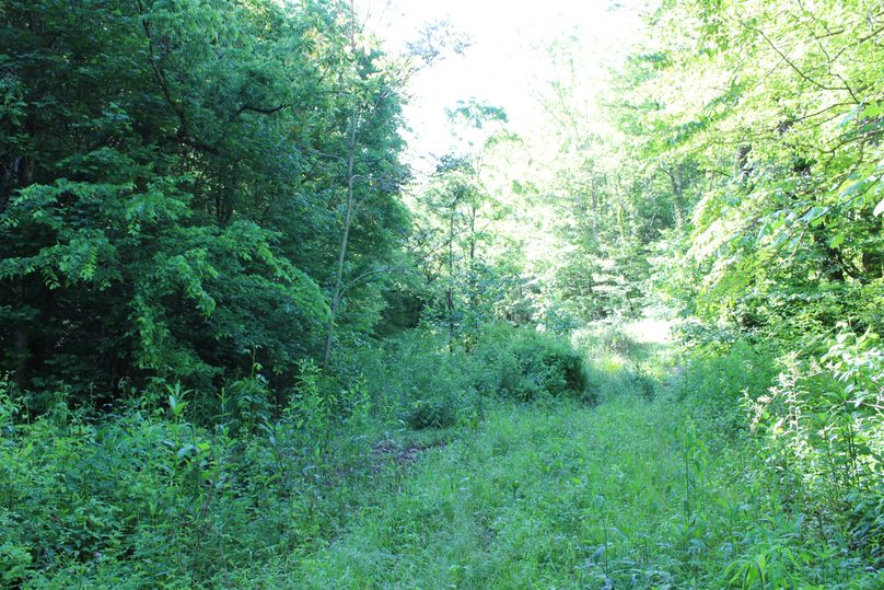 020 another of the valley fields near the middle of the property