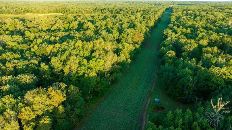 Cass MN 1095 Featured ProPhoto-65