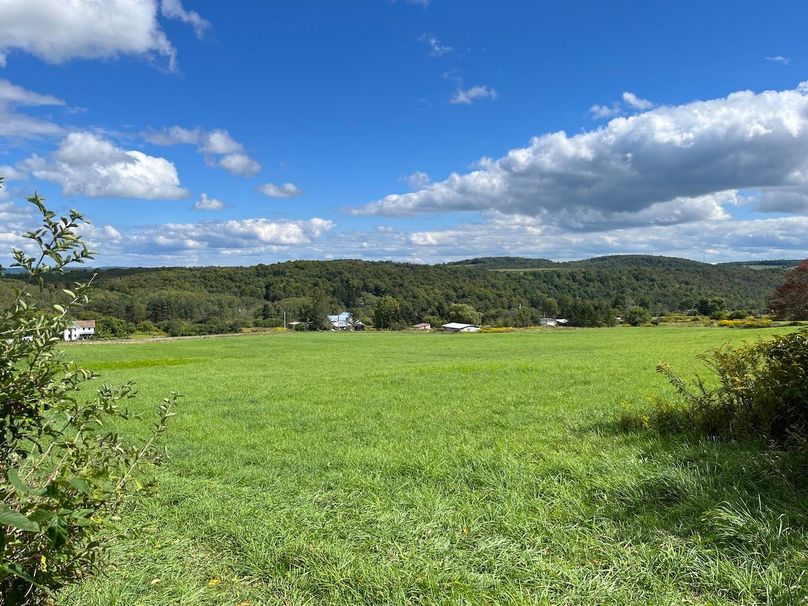 Schuyler_42.08_Austin Photo 5