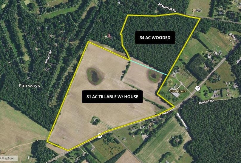 115.68ac_HarmonyRd_Caroline_SubdivisionMAP