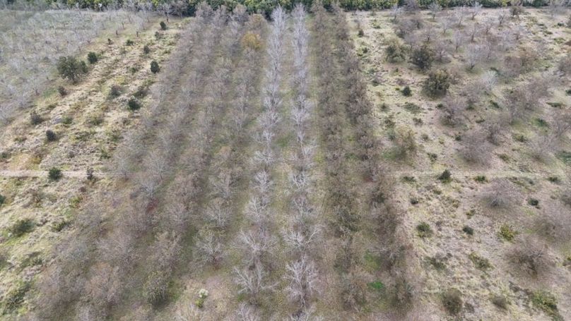 dji_fly_20251107_043036_0030_1762484046696_photo