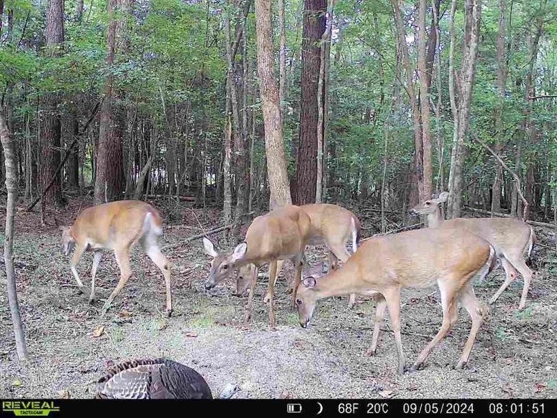 867490071175496-20-3-09052024080150-W1002880_8533348404242