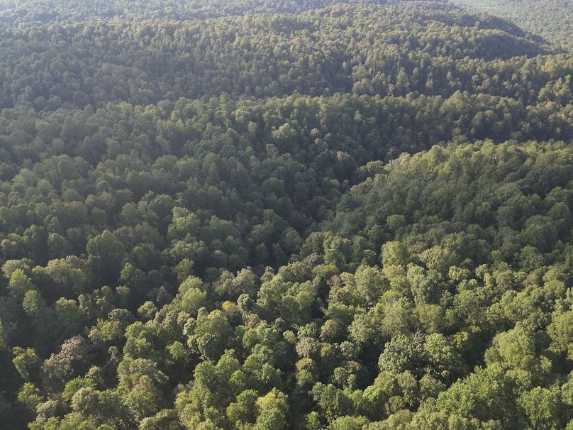 DJI_20250806185158_0010_W