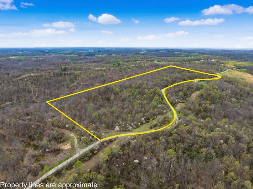 11-z 9870 Wilbur007-Edit