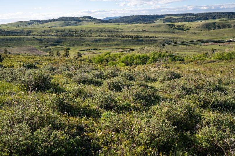 35482118-D294-4EBF-8660-521EA2E5036B