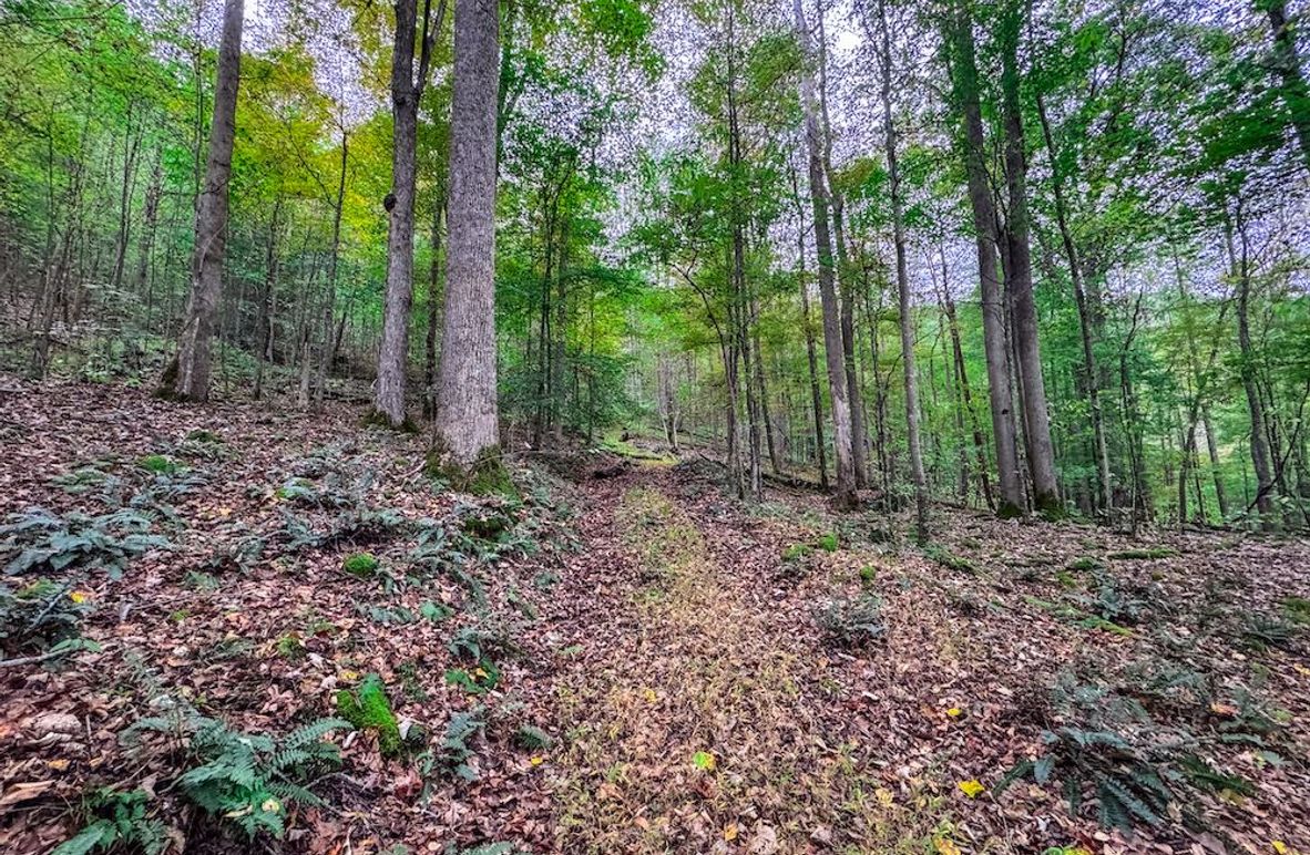 Webster, WV 13.8 AC Heldreth-07