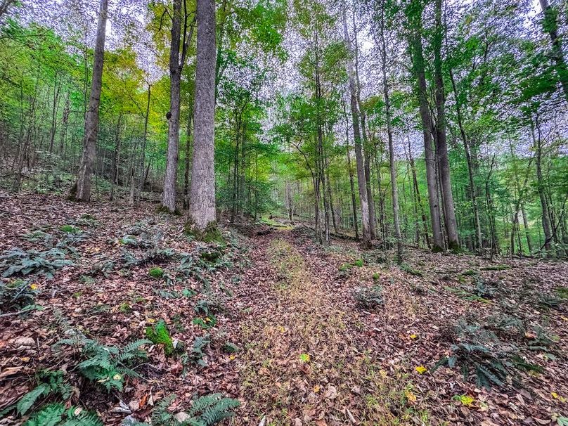 Webster, WV 13.8 AC Heldreth-07