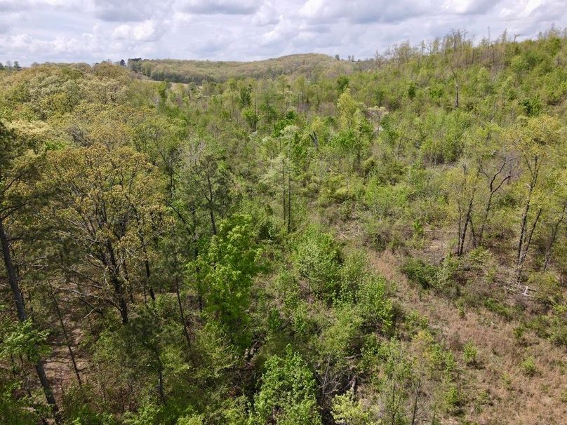 F387006A-E09E-4C0D-B68A-FC9CBE0E3D74_1_201_a-2