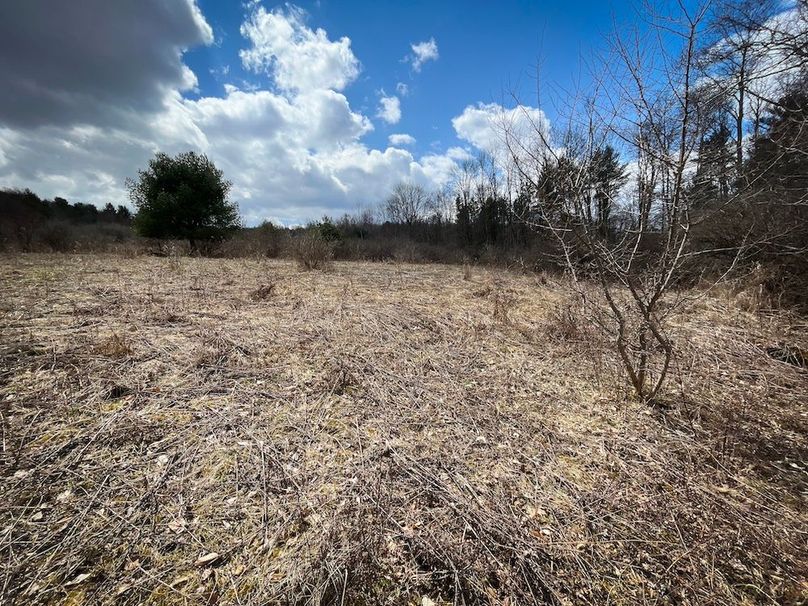 Tioga__NY_109.7_Burris_Photos_49