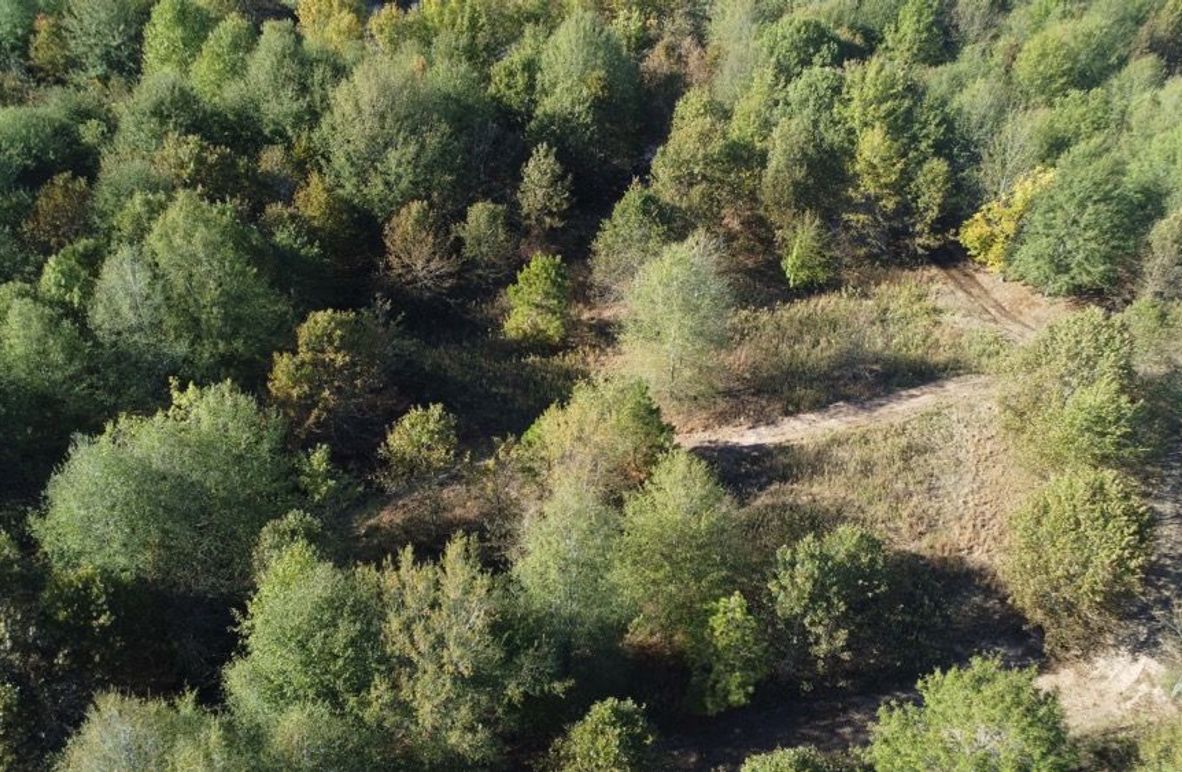 1a1 jeff 8320251111_0231