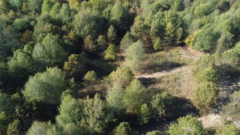 1a1 jeff 8320251111_0231