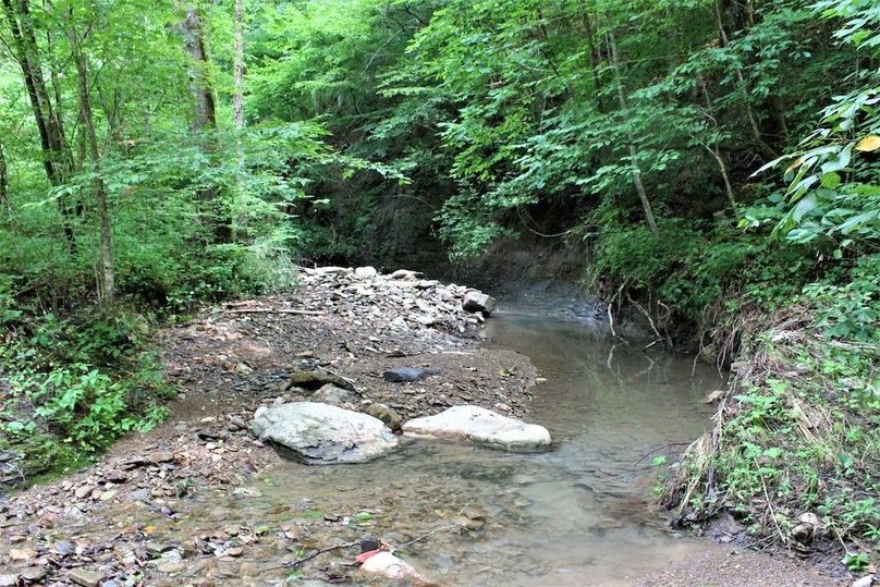 017 the mountain creek winds and flows as it descends through the property