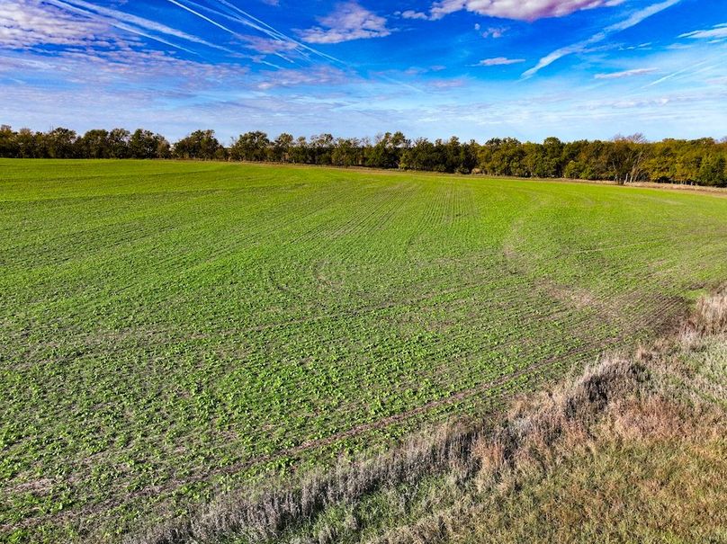 Dickinson Co, 154.5_034