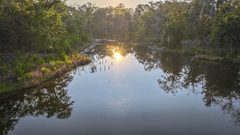 DJI_20250918074016_0091_D