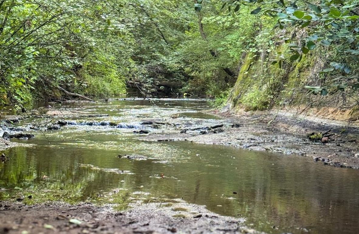 Lafayette 37.0 Bruce-03