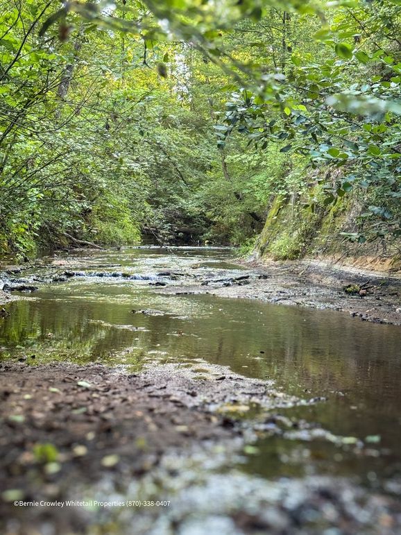 Lafayette 37.0 Bruce-03