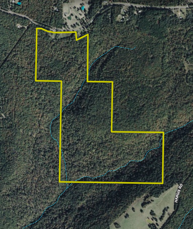 Screenshot 2026-02-21 at 9.51.20 AM