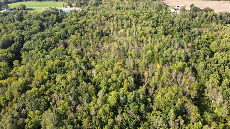 dji_fly_20240826_164122_380_1724709036492_photo_optimized