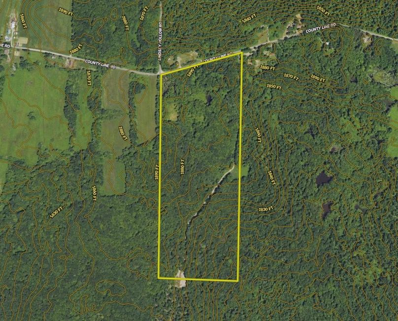 Screen Shot 2024-03-13 at 6.58.36 PM