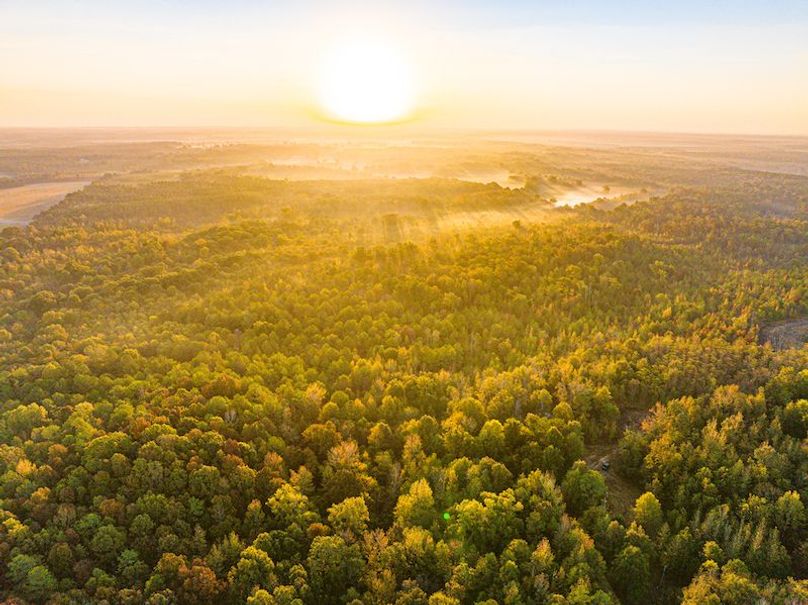 Clay 302.7 Henderson-59