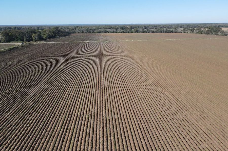 dji_fly_20241119_102818_362_1732033709354_photo